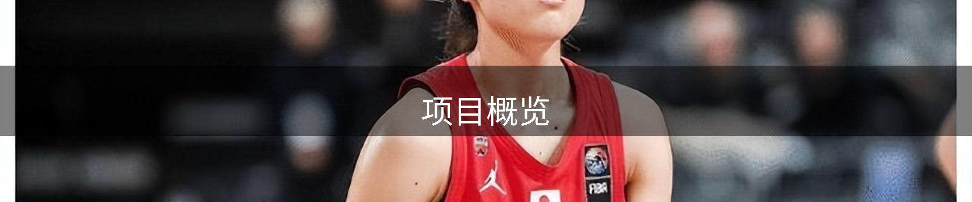 项目概览